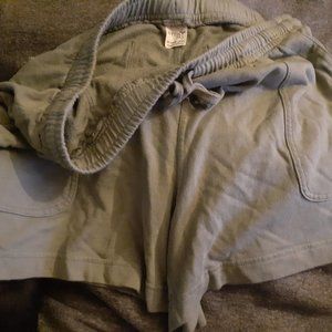 Terra & Sky Green Shorts (plus)
